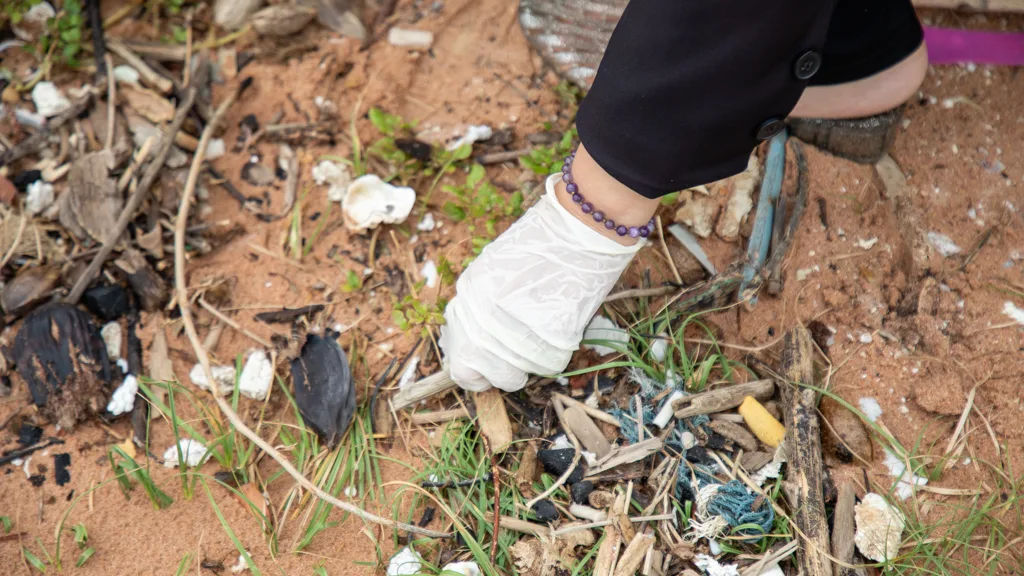 Picking discarded mussel shells out of litter on the shore