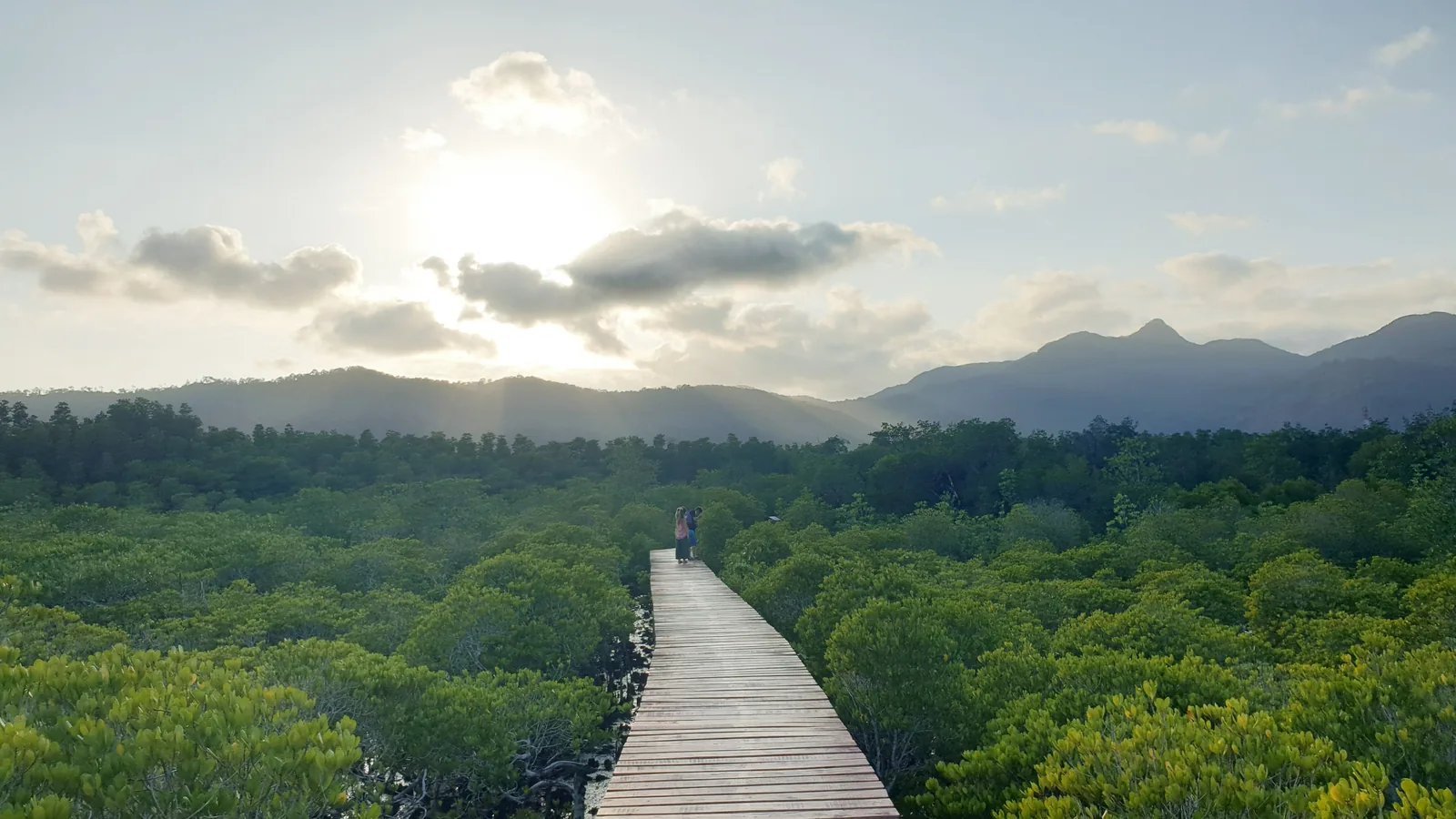Wooden boardwalk through the Salak Phet mangrove forest on Ko Chang, Trat, Thailand, with mountains behind